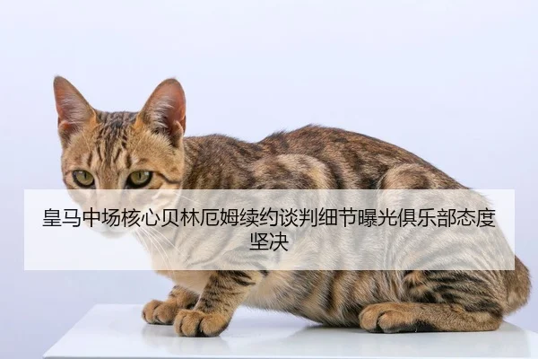 皇马中场核心贝林厄姆续约谈判细节曝光俱乐部态度坚决