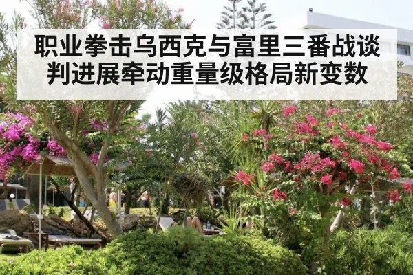 职业拳击乌西克与富里三番战谈判进展牵动重量级格局新变数